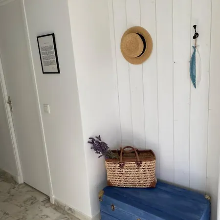 Panoramic Sea View Penthouse With Jacuzzi And 450 Sqm Terrace *